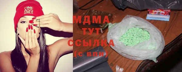 гашик Алексин