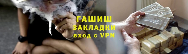 гашик Алексин