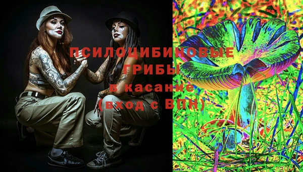 твердый Алексеевка