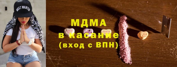 гашик Алексин