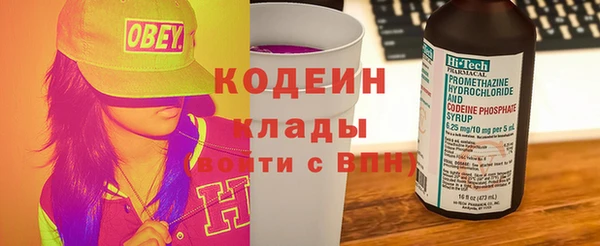 гашик Алексин
